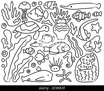 Illustration vectorielle d'animaux sous-marins et de poissons de récif de corail sur fond blanc. Page de coloriage de poissons tropicaux et de plantes de corail pour les enfants. N/a Illustration de Vecteur