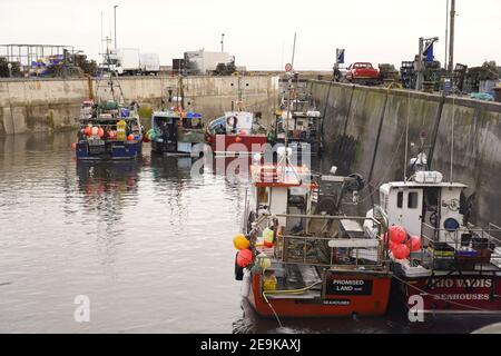 Port de pêche en activité des Seahouses de Northumberland, Angleterre Banque D'Images