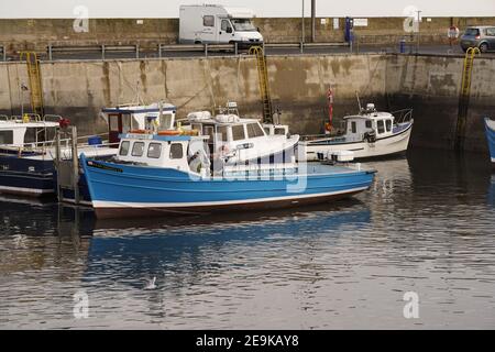 Port de pêche en activité des Seahouses de Northumberland, Angleterre Banque D'Images