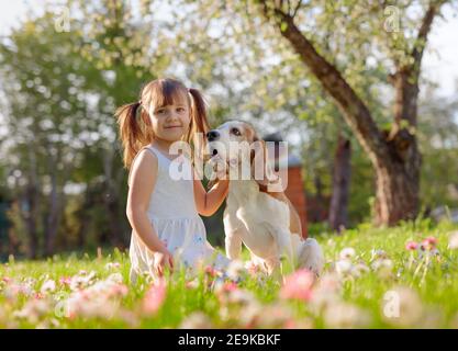 Happy little girl Playing with dog in garden. Fillette de quatre ans sur une journée ensoleillée avec un beagle sur une pelouse avec des marguerites. Banque D'Images