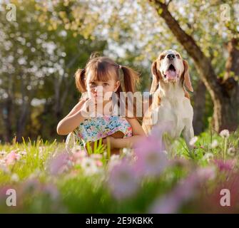 Happy little girl Playing with dog in garden. Fillette de quatre ans sur une journée ensoleillée avec un beagle sur une pelouse avec des marguerites. Banque D'Images