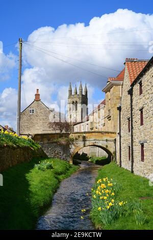 rivière Rye qui coule par des jonquilles printanières à Helmsley North Yorkshire Maures Royaume-Uni Banque D'Images