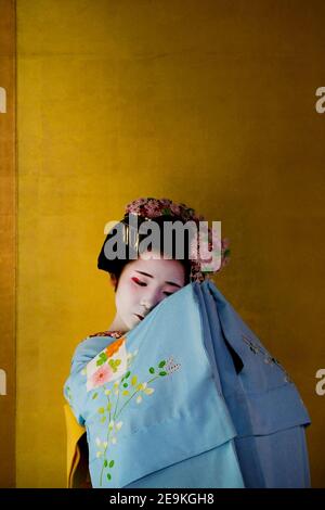 Geisha dans son Okiya, (maison de Geisha), Kyoto. Banque D'Images