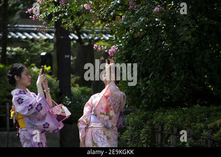 Touristes japonais à Tokyo avec la robe traditionnelle japonaise. Banque D'Images