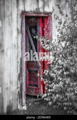 Rouge porte rouge de vieux hangar noir et blanc Banque D'Images