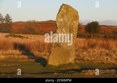 Ancienne pierre debout au cercle de pierres de l'âge de bronze de Mitchell, Stapeley Hill, Shropshire, Royaume-Uni, à la lumière du soir Banque D'Images