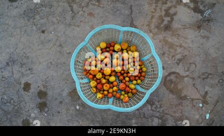 Fruits rouges jaunes Ber ou Ziziphus mauritiana isolés sur un panier en plastique. Mûrir les fruits sur le sol en ciment. Banque D'Images