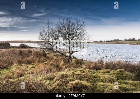 Soleil d'hiver en fin d'après-midi au-dessus du lac Colliford sur Bodmin Moor, dans les Cornouailles. Banque D'Images