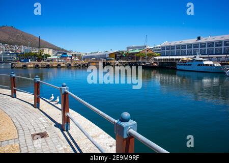 Front de mer- Cape Town, Afrique du Sud - 03-02-2021 vue panoramique sur le front de mer et le port. Les mouettes reposent sur une corniche au premier plan. Banque D'Images