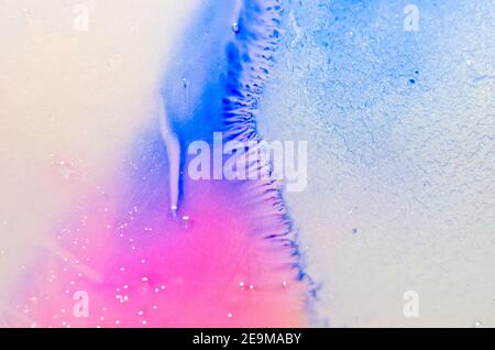les aquarel brillants liquides avec de l'huile génèrent des structures fluides et des bulles en rouge, orange, jaune, bleu, blanc et rose Banque D'Images