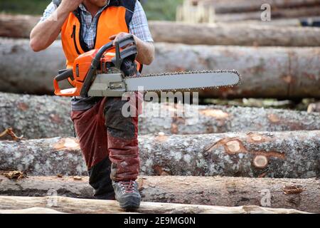 Ouvrier forestier coupant du bois, Allemagne Banque D'Images