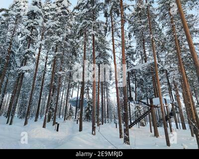 (210205) -- STOCKHOLM, le 5 février 2021 (Xinhua) -- photo prise le 2 février 2021 montre les salles d'un hôtel d'arbres, situé à environ 150 kilomètres au sud du cercle arctique, dans le nord de la Suède. Cet hôtel situé dans une forêt dense de pins, à environ 150 kilomètres au sud du cercle arctique, est devenu un lieu de séjour fréquent depuis son ouverture en 2010. (Photo de Wei Xuechao/Xinhua) Banque D'Images