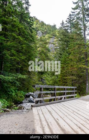 Pont en bois sur la rivière sauvage dans la forêt de conifères luxuriante de la vallée de Strazyska dans les montagnes Tatra, Pologne. Banque D'Images