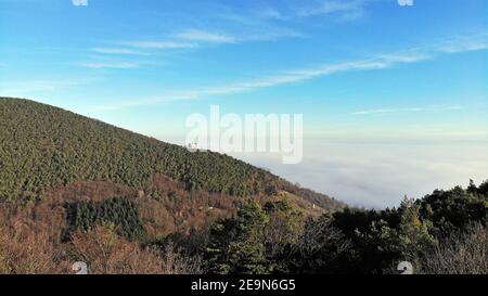 Forêt du Palatinat avec le château de Hambach en arrière-plan (Allemagne) Banque D'Images