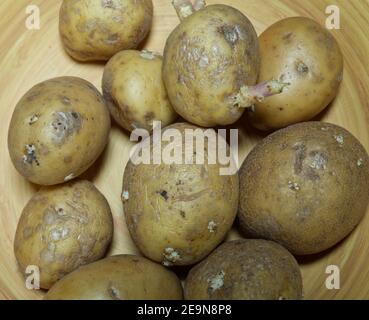 Une grande partie de pommes de terre autocultivées sur une plaque de bambus Banque D'Images