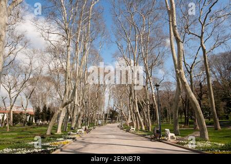 Vue de Spling sur la route principale du parc Gulhane, Istanbul, Turquie Banque D'Images