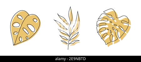 Collection de feuilles tropicales, ensemble de feuillage hawaïen tropical exotique. Illustration vectorielle isolée sur fond blanc Illustration de Vecteur