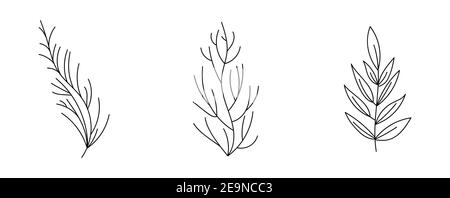 Collection de feuilles tropicales, ensemble de feuillage hawaïen tropical exotique. Illustration vectorielle isolée sur fond blanc Illustration de Vecteur