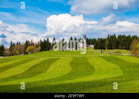 Pré fraîchement moudue dans les montagnes de Jizera près de la cabane de Kralovka et de la tour de guet, République tchèque. Banque D'Images