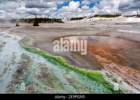 Les geysers Whirligig et Pinwheel du bassin de la porcelaine se détournent dans la friteuse du bassin de Norris Geyser. Parc national de Yellowstone, Wyoming Banque D'Images