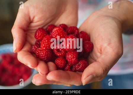 Fille paysanne tenant une poignée de framboises rouges fraîches mains Banque D'Images