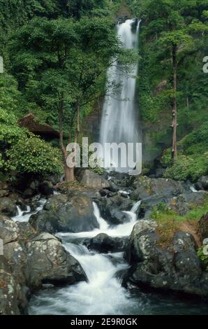 Git Git Waterfalls - Bali - Indonésie 1990 (Photo sur film photographique) Banque D'Images