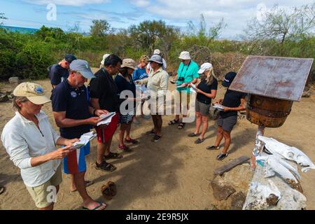 Touriste à la boîte postale de la baie de poste, île Floreana, îles Galapagos, Equateur. Banque D'Images