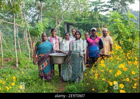 AUROVILLE, INDE - novembre 2020 : un groupe de travailleurs indiens dans une ferme biologique. Banque D'Images