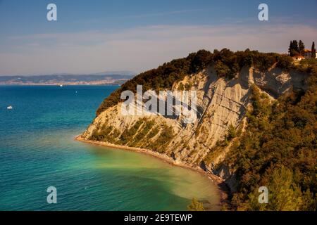 Vue sur la baie de la Lune, célèbre plage de la falaise de Strunjan sur la côte slovène. Banque D'Images