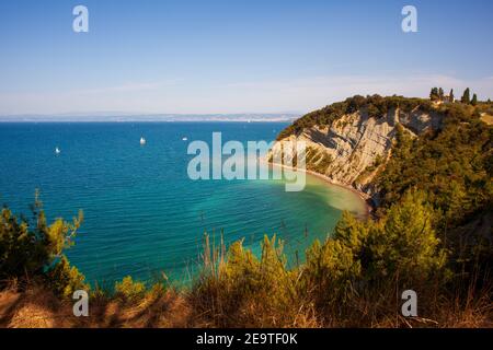 Vue sur la baie de la Lune, célèbre plage de la falaise de Strunjan sur la côte slovène. Banque D'Images