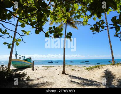 Trancoso est un district de la municipalité brésilienne de Porto Seguro, sur la côte de l'état de Bahia. Banque D'Images