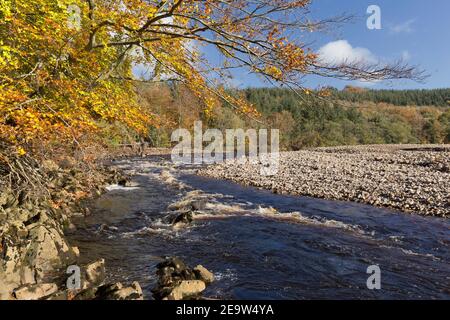 La rivière Tyne Sud en automne, un peu en amont du viaduc de Lambley, Northumberland, Royaume-Uni Banque D'Images