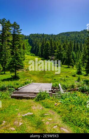 mountain creek aux montagnes de rila en Bulgarie Banque D'Images