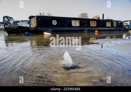 Bourne End, Buckinghamshire, Royaume-Uni. 6 février 2021. Des bulles d'eau s'écoulent d'un drain. Un avertissement d'inondation est en place pour la Tamise à la fin de Bourne, après une période de pluie prolongée la semaine dernière. Le sentier de la Tamise est inondé ainsi que des jardins de propriétés près de la Tamise. Bien que les niveaux d'eau aient légèrement baissé, les inondations de propriétés, de routes et de terres agricoles devraient se poursuivre. Crédit : Maureen McLean/Alay Live News Banque D'Images