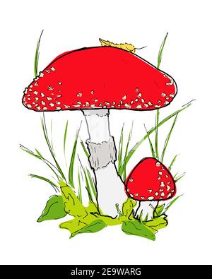 Illustration de champignon amanita rouge dans l'herbe Illustration de Vecteur