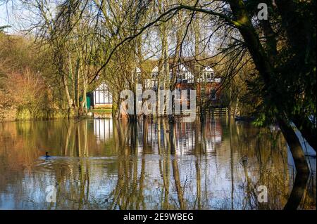 Bourne End, Buckinghamshire, Royaume-Uni. 6 février 2021. Jardins et routes inondés à Abbotsbrook. Un avertissement d'inondation est en place pour la Tamise à la fin de Bourne, après une période de pluie prolongée la semaine dernière. Le sentier de la Tamise est inondé ainsi que des jardins de propriétés près de la Tamise. Bien que les niveaux d'eau aient légèrement baissé, les inondations de propriétés, de routes et de terres agricoles devraient se poursuivre. Crédit : Maureen McLean/Alay Live News Banque D'Images