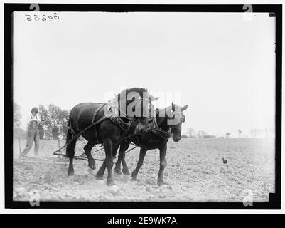 La guerre d'urgence NATIONAL GARDENS COM. FARMERETTES Banque D'Images