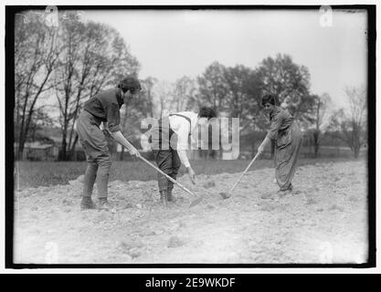 La guerre d'urgence NATIONAL GARDENS COM. FARMERETTES Banque D'Images