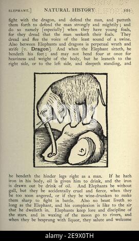 Histoire naturelle à l'époque de Shakespeare (page 101, fig. 20) Banque D'Images