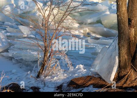 Detroit, Michigan - la glace de la rivière Detroit s'est accumulée sur la rive de Belle Isle. Banque D'Images