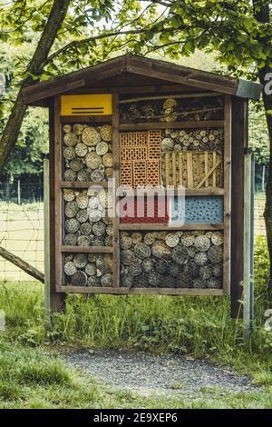 Bee hôtel. Une maison conçue pour les abeilles sauvages. Situé dans le parc animalier de Warstein, en Allemagne Banque D'Images