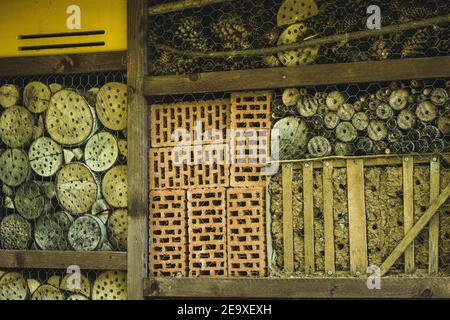 Bee hôtel. Une maison conçue pour les abeilles sauvages. Situé dans le parc animalier de Warstein, en Allemagne Banque D'Images