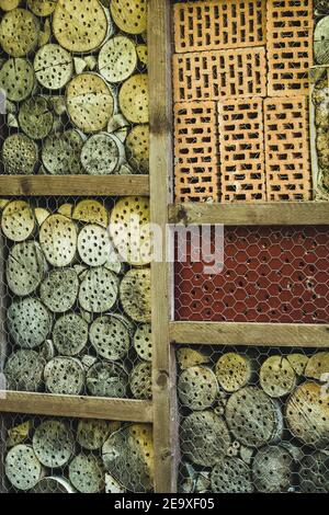 Bee hôtel. Une maison conçue pour les abeilles sauvages. Situé dans le parc animalier de Warstein, en Allemagne Banque D'Images