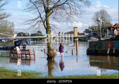 Marlow, Buckinghamshire, Royaume-Uni. 6 février 2021. La Tamise éclate sur ses rives. Un avertissement d'inondation est en place pour la Tamise à Marlow, après une période de précipitations récentes. Il est conseillé aux résidents vivant près de la Tamise d'activer leurs produits de protection contre les inondations. Des inondations sont attendues. Les niveaux de la rivière restent élevés et le sentier de la Tamise est inondé. L'Agence de l'environnement s'attend à ce que les niveaux des rivières augmentent de nouveau ce week-end. Crédit : Maureen McLean/Alay Live News Banque D'Images