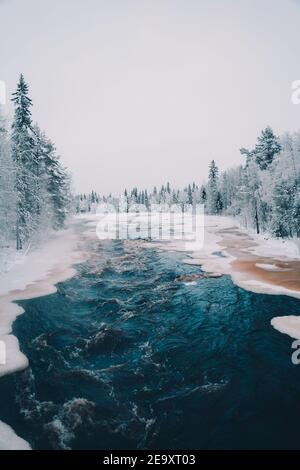 Vue panoramique sur la rivière gelée entourée de grands conifères croissance dans la forêt enneigée en hiver Banque D'Images