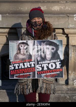 Varsovie, Varsovie, Pologne. 6 février 2021. Un manifestant tient un écriteau lors d'une manifestation contre la vivisection d'animaux le 6 février 2021 à Varsovie, en Pologne. Des membres de la rébellion animale NPO Polska se sont réunis devant l'ambassade italienne à Varsovie pour manifester leur solidarité envers les activistes des droits des animaux en Italie qui protestent contre la vivisection d'animaux à des fins scientifiques, Plus précisément l'utilisation de macaques dans le projet 'LightUp - Turning the Cortically blind Brain to See' mené par l'Université de Turin en collaboration avec l'Université de Parme. Dirigé par Research Fellow Banque D'Images