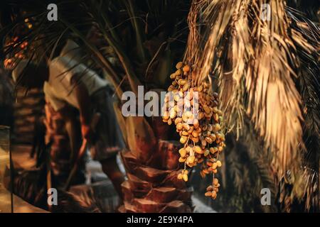 Palmier avec feuilles sèches et bouquet de dattes jaunes, nourriture naturelle saine et douce, fond tropical magnifique Banque D'Images