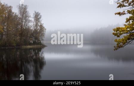 Vue à couper le souffle sur un lac d'automne entouré d'arbres réfléchis dans l'eau par un jour brumeux Banque D'Images