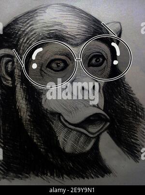 Art ,dessin ,Beaux-Arts ,esquisse ,mignon ,animaux, Thaïlande , Chimpanzee Banque D'Images