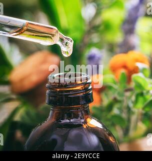 Alternative médicinale, homéopathie, aromathérapie, goutte d'huile essentielle de la pipette à la bouteille. Compte-gouttes gros plan sur une variété de flou de fond d'herbes fraîches. Banque D'Images